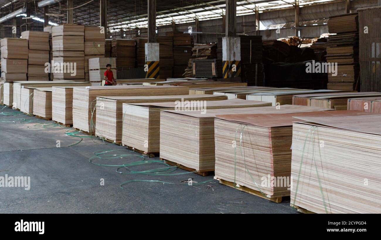 Sorting formatted plywood sheets in a plywod factory in Sandakan, Sabah