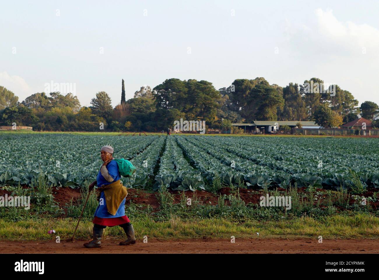 A Worker Leaves After Working At A Farm In Eikenhof South Of Johannesburg April 24 12 Plans Drawn Up Under The First Black President Nelson Mandela Were Meant By 14 To Hand