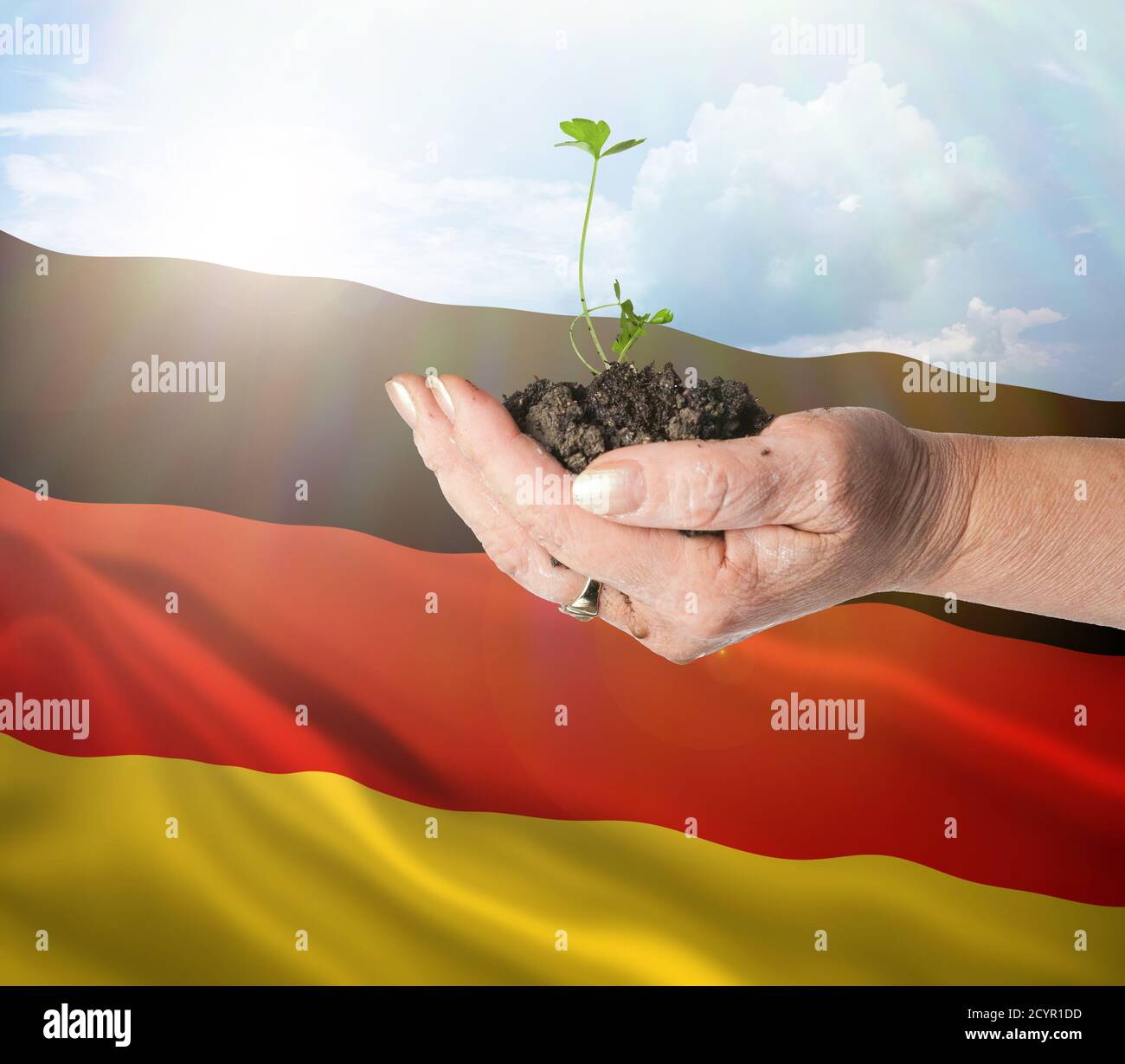 Germany growth and new beginning. Green renewable energy and ecology concept. Hand holding young plant. Stock Photo