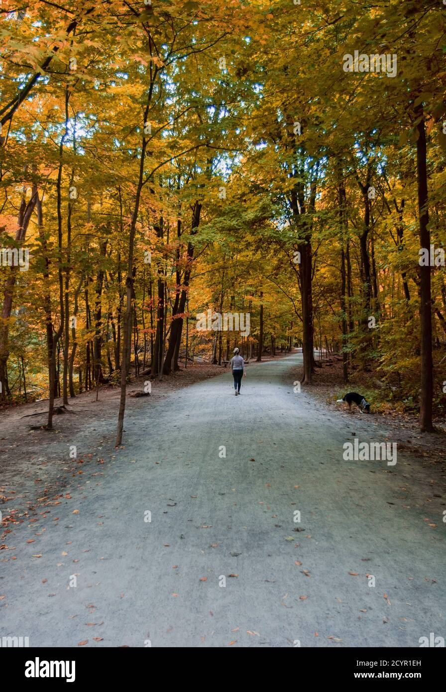 Girl walking alone in forest hi-res stock photography and images - Alamy