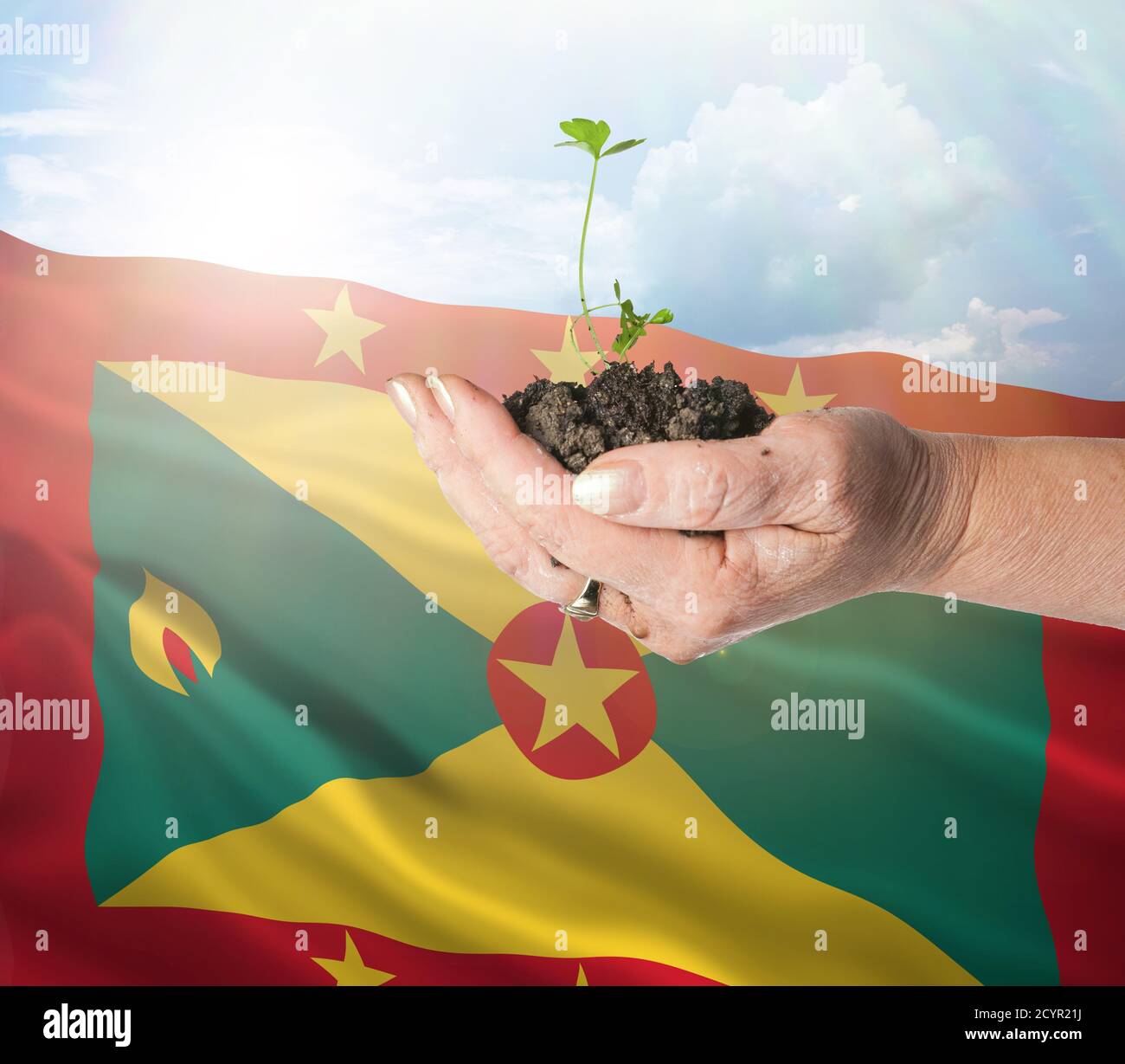 Grenada growth and new beginning. Green renewable energy and ecology concept. Hand holding young plant. Stock Photo