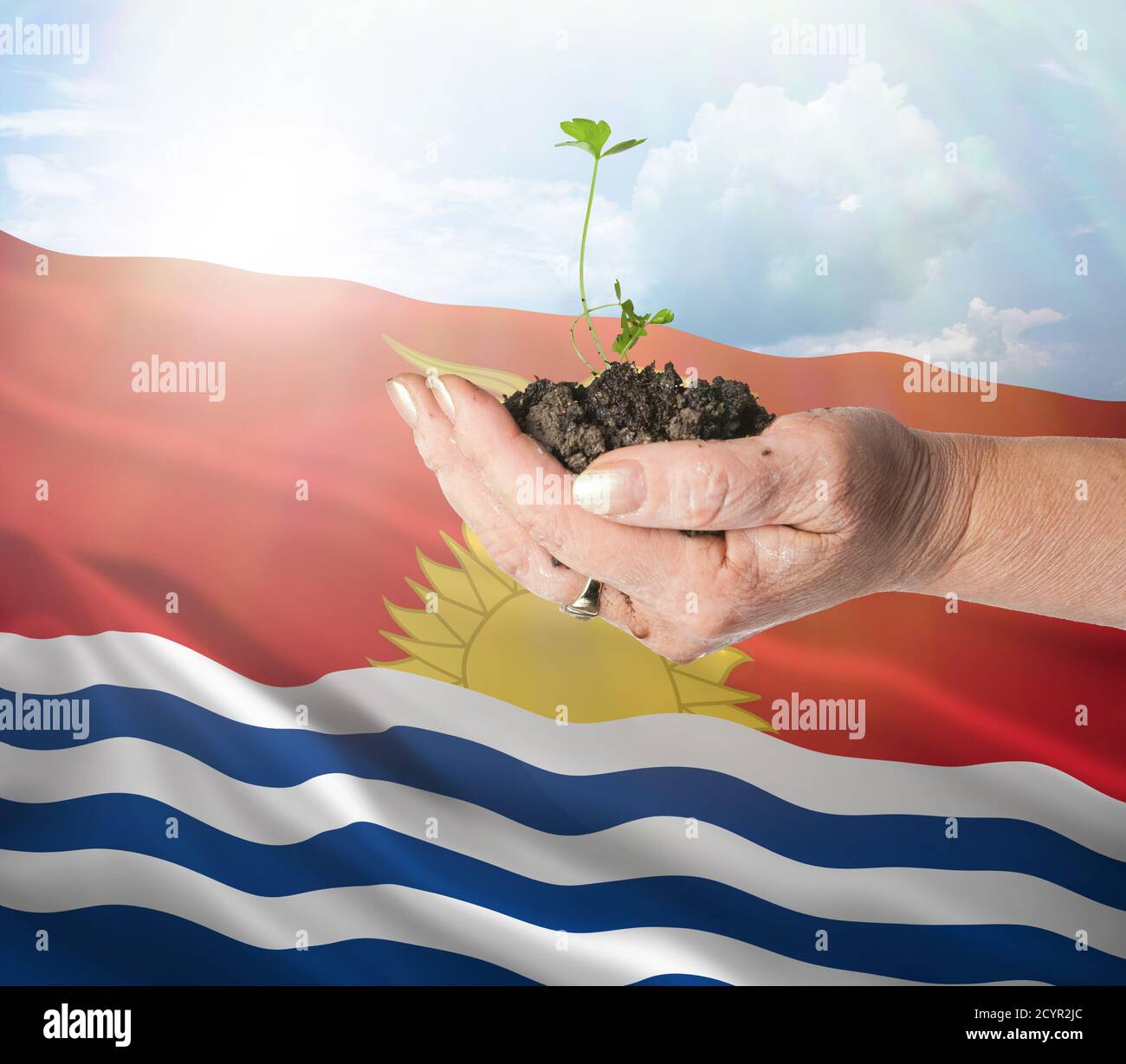 Kiribati growth and new beginning. Green renewable energy and ecology concept. Hand holding young plant. Stock Photo