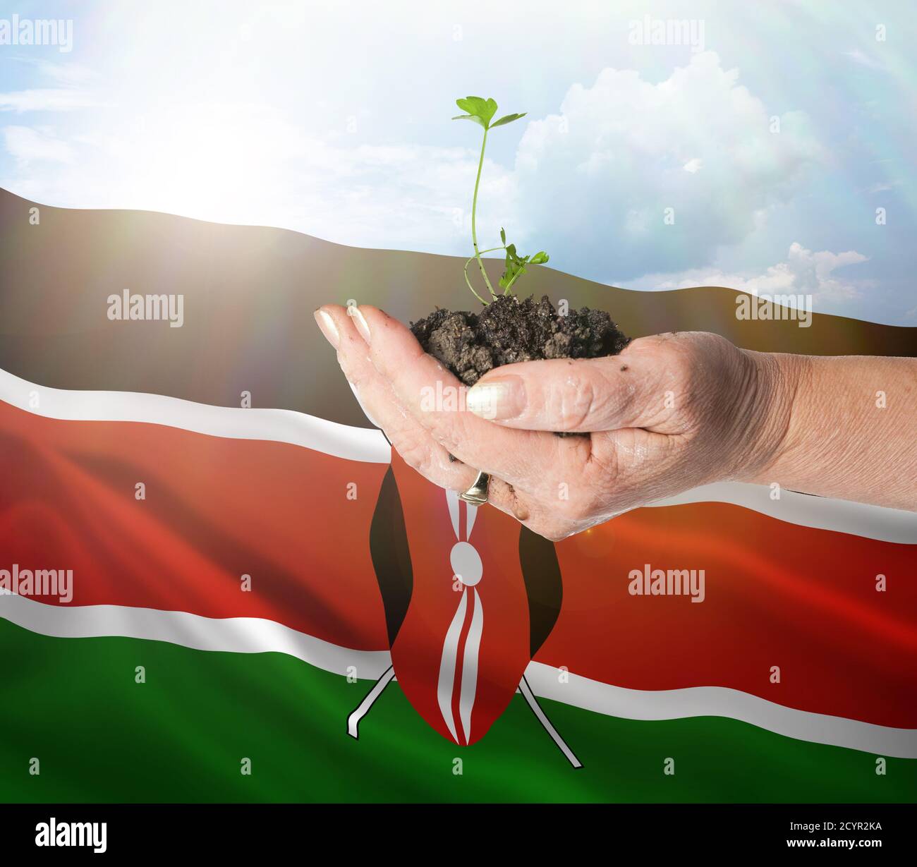 Kenya growth and new beginning. Green renewable energy and ecology concept. Hand holding young plant. Stock Photo