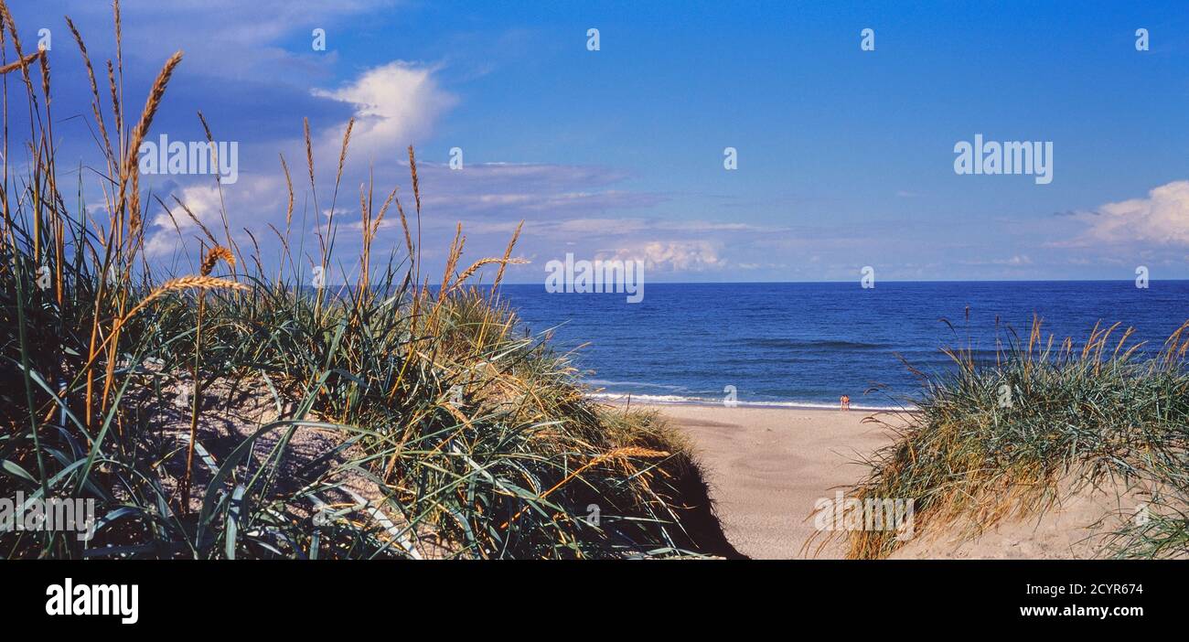 The White Sandy Beach Bjerregard Strand Holmsland Klit Bar West Jutland Denmark Stock Photo Alamy