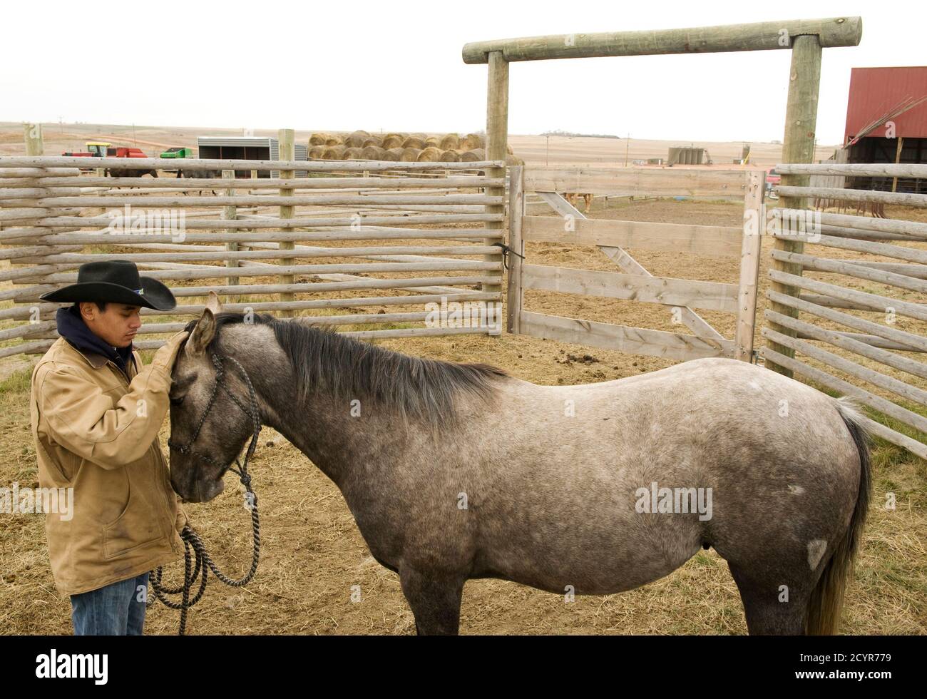 Jesse Bear trains a horse on the ranch owned by his father, a Three Affiliated Tribes member, just off the Fort Berthold Reservation in North Dakota, November 1, 2014. The ranch is now surrounded by oil wells and other infrastructure like the holding tanks visible in the top right corner. The Fort Berthold Indian Reservation, home to the Mandan, Hidatsa, and Arikara Nation, produces nearly a third of North Dakota's oil. The election for a new tribal chairman, in which both candidates have positioned themselves as reformers, may change the oil industry's relationship with the reservation. Photo Stock Photo