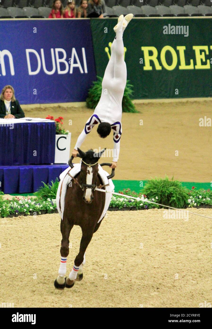 Idefix High Resolution Stock Photography And Images Alamy