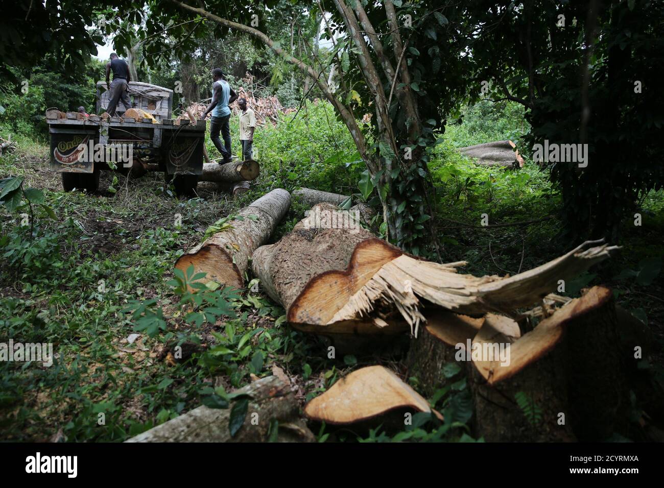 Logging truck africa hi-res stock photography and images - Alamy