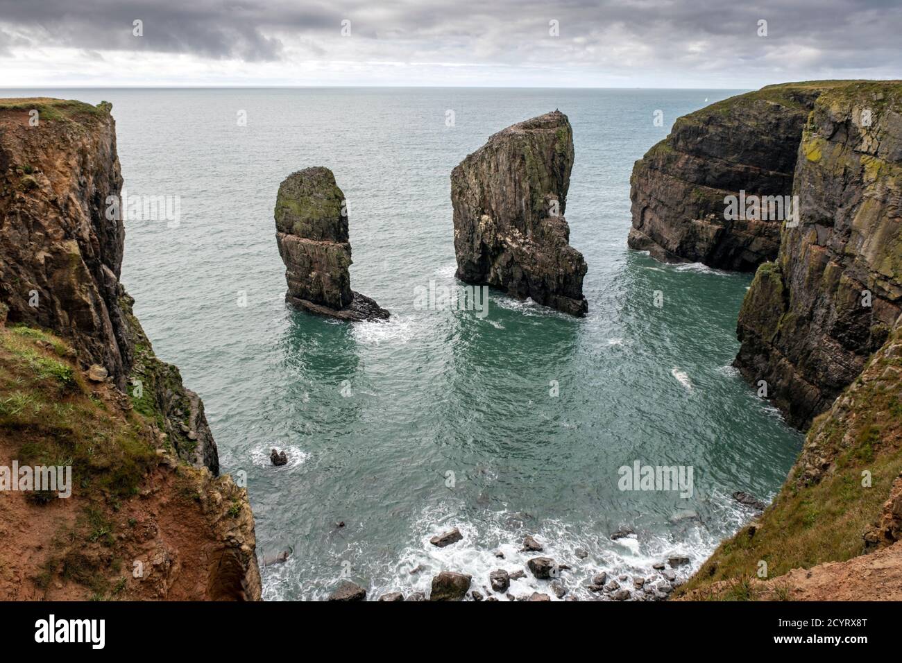 Elegug Stacks are dramatic pinnacles of limestone and home to colonies of Guillemots, Pembrokeshire Coast National Park,  Pembrokeshire, Wales. Stock Photo