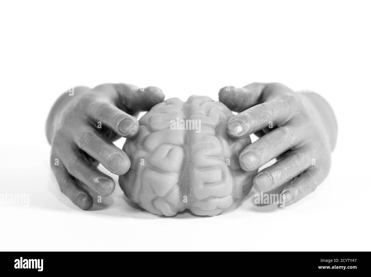 Human hands holding a human brain, shown in black and white. Stock Photo