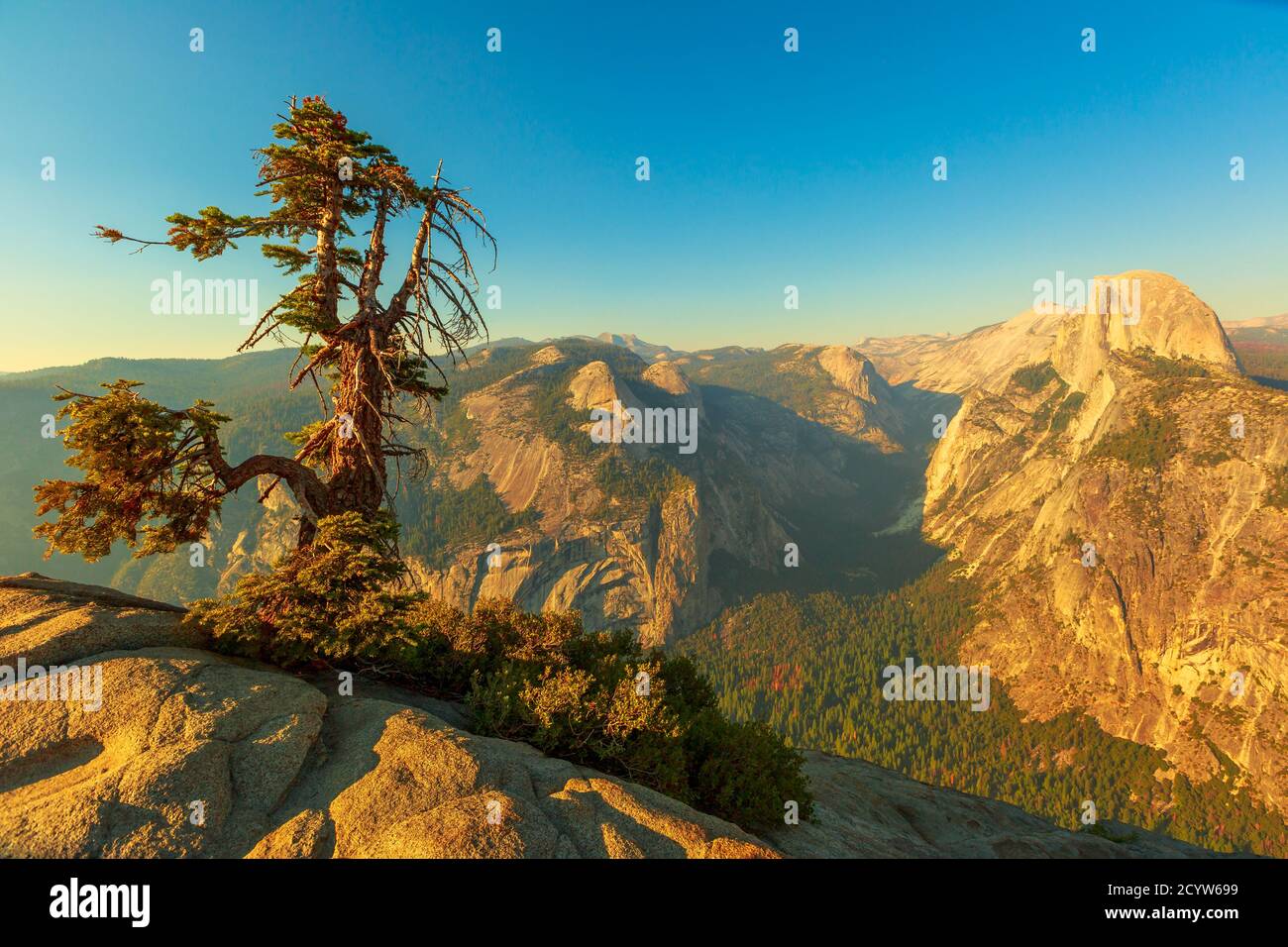 panorama and tree of Glacier Point in Yosemite National Park, California, United States. The view from Glacier Point: Half Dome, Liberty Cap, Yosemite Stock Photo
