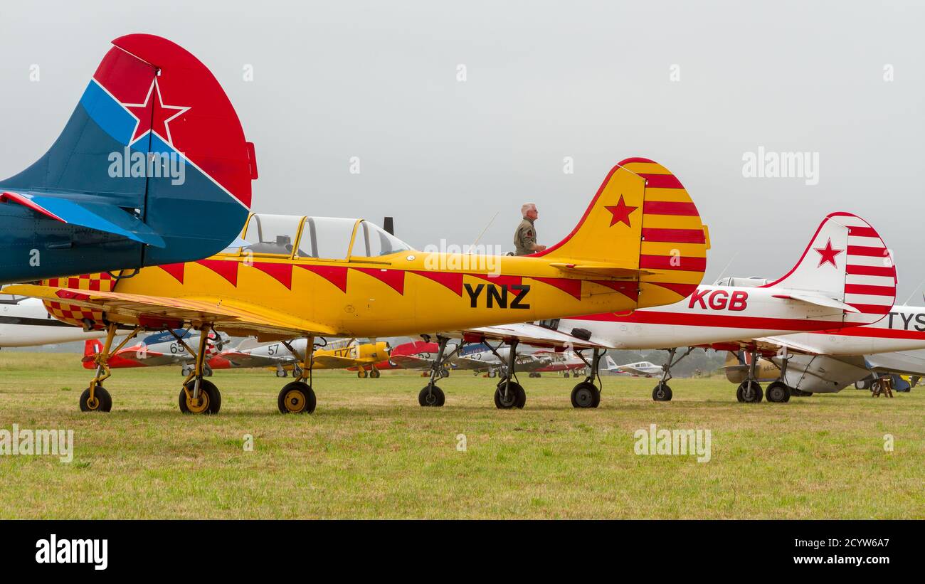 A row of Yakovlev Yak-52 planes, trainer aircraft from the former Soviet Union, at an airshow. Mount Maunagnui, New Zealand, 1/26/2014 Stock Photo