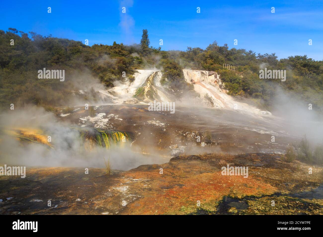 Orakei Korako geothermal area, New Zealand. Steam rises from hot springs and mineral terraces Stock Photo