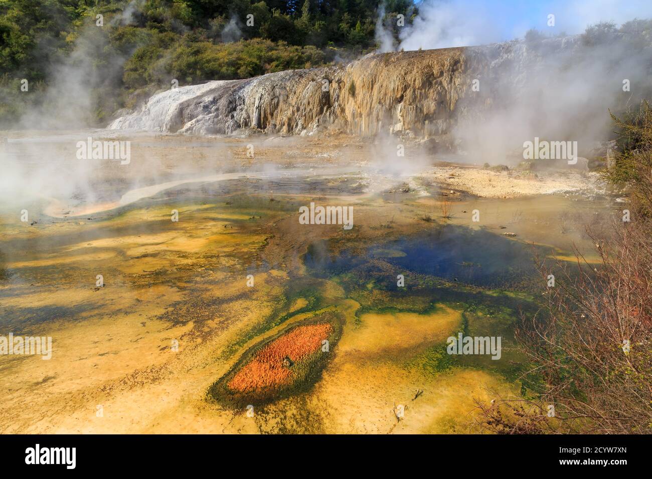 Orakei Korako geothermal area, New Zealand. Colorful algal formations in front of the 'Golden Fleece' terrace Stock Photo