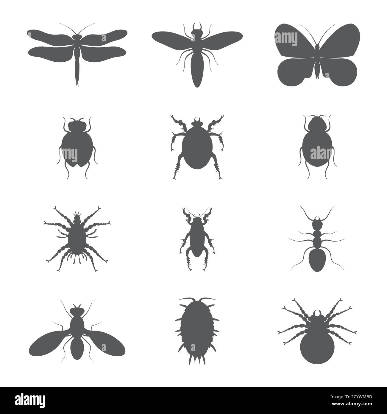 illustration with insect silhouettes isolated on white background Stock Vector