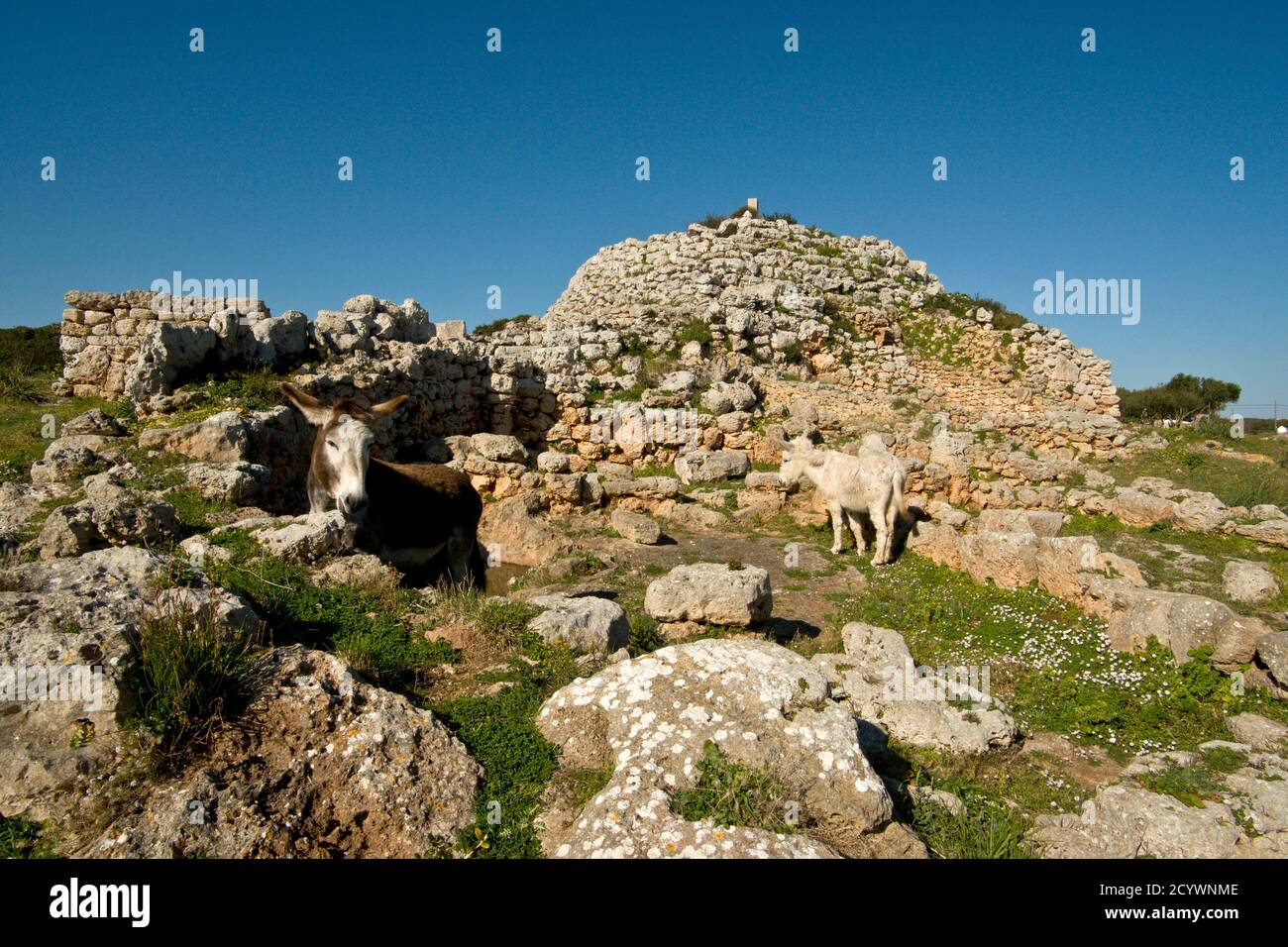 Santuario y Talayot Son Na Caçana, siglo X antes de Cristo. Alaior.Menorca.Balearic islands.Spain. Stock Photo
