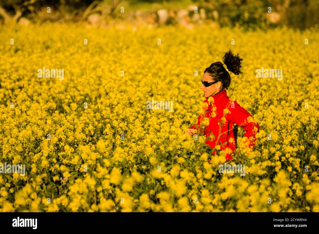 mujer corriendo entre flores amarillas, Mallorca,Islas Baleares,Spain. Stock Photo