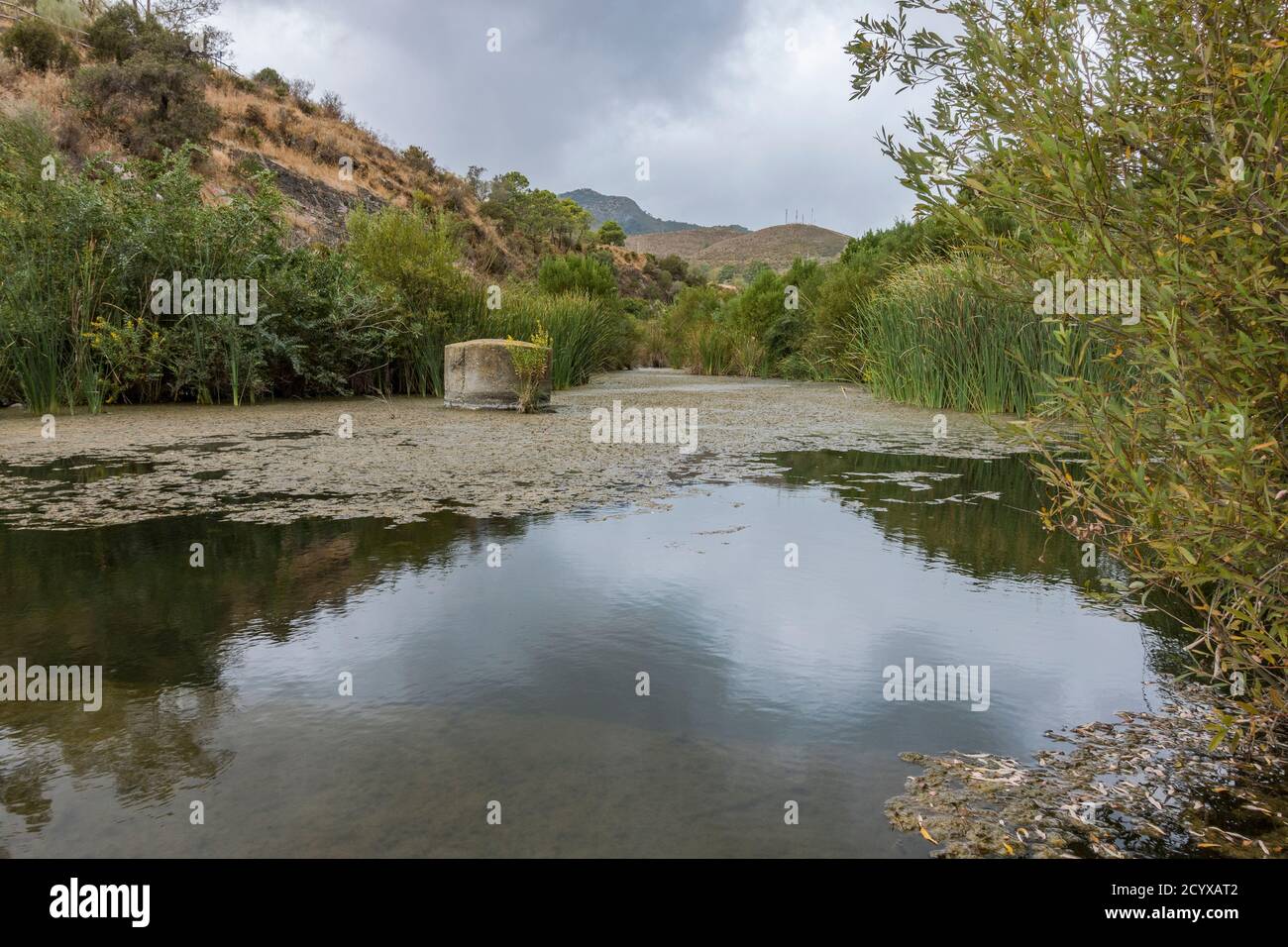 Guadalmina river at The watercourse trail (Acequia) near, Benahavis, Andalucia, Spain. Stock Photo
