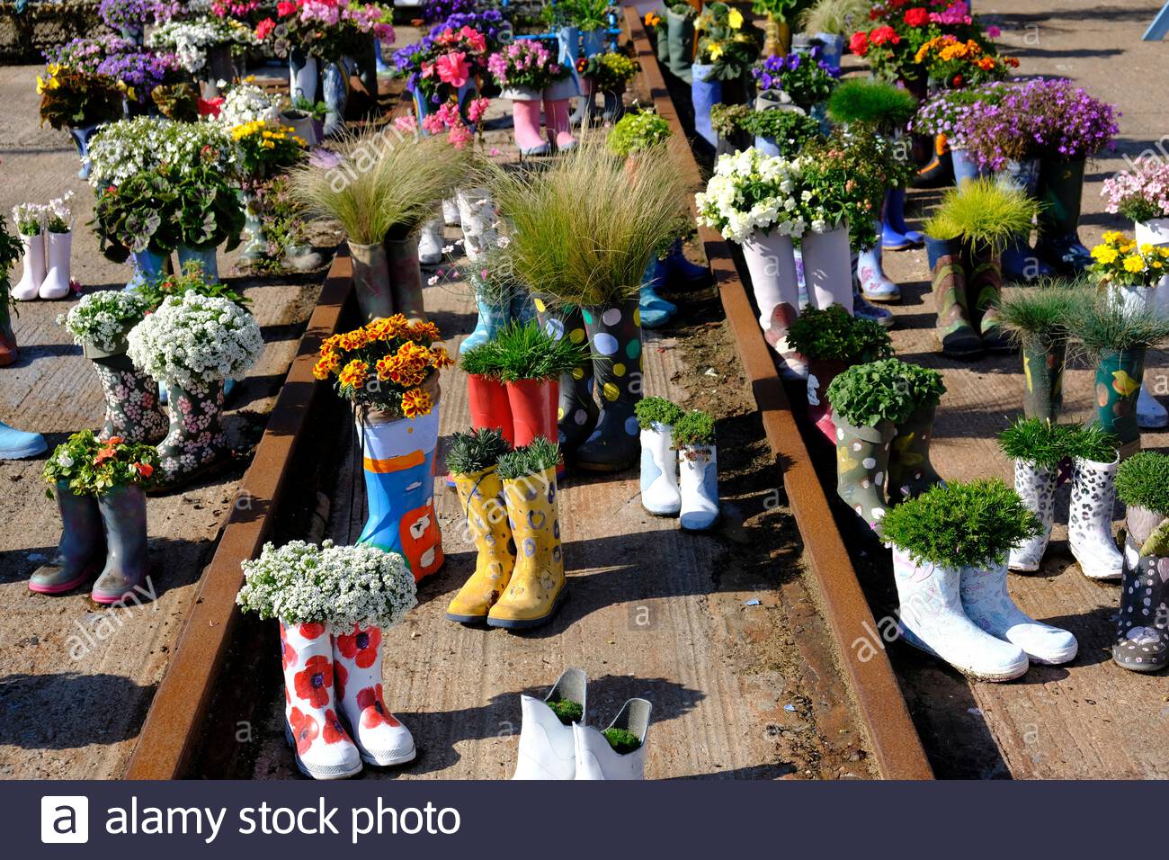 St Monan's, Scotland, UK. 2nd Oct 2020. Fine sunny weather at the Welly Boot Garden in St Monan's, Fife. The welly boot garden started out as part of the village's strategy to win Beautiful Fife and Beautiful Scotland awards and is now a visitor attraction in its own right.  Credit: Craig Brown/Alamy Live News Stock Photo