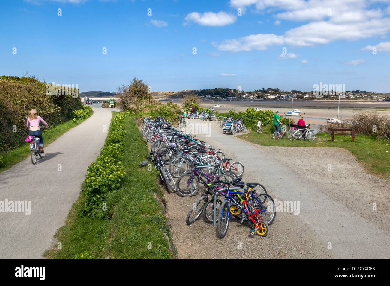 Camel Trail; Bycle Park; near Padstow; Cornwall; UK Stock Photo Alamy