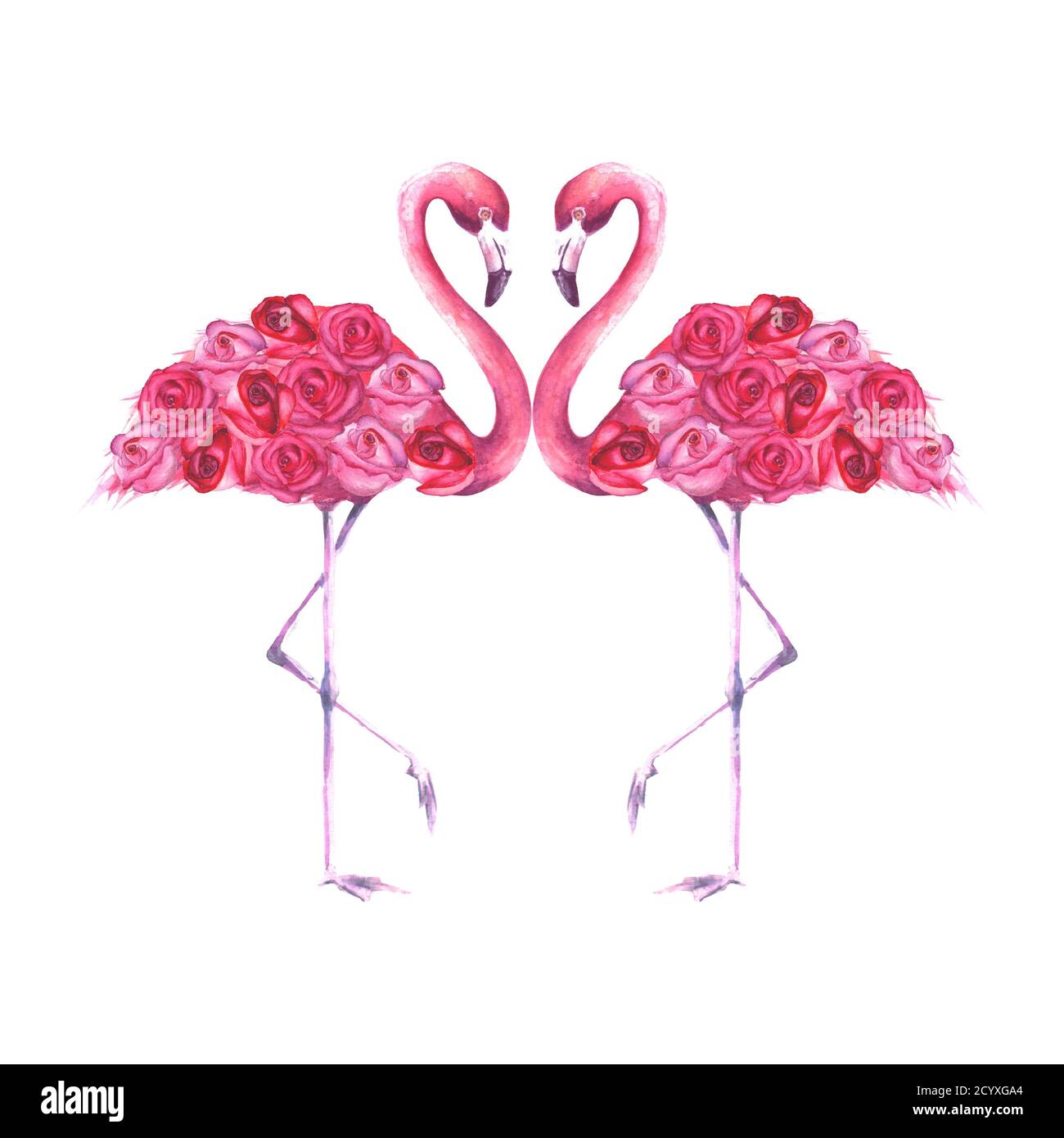 Couple of tropical exotic pink flamingos with roses isolated on white ...