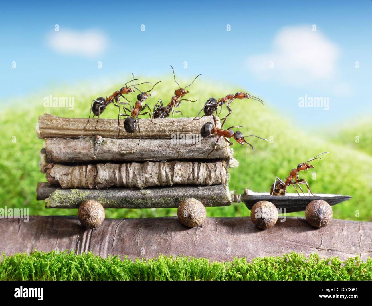 All good work is done the way ants do things: Little by little. Stock Photo