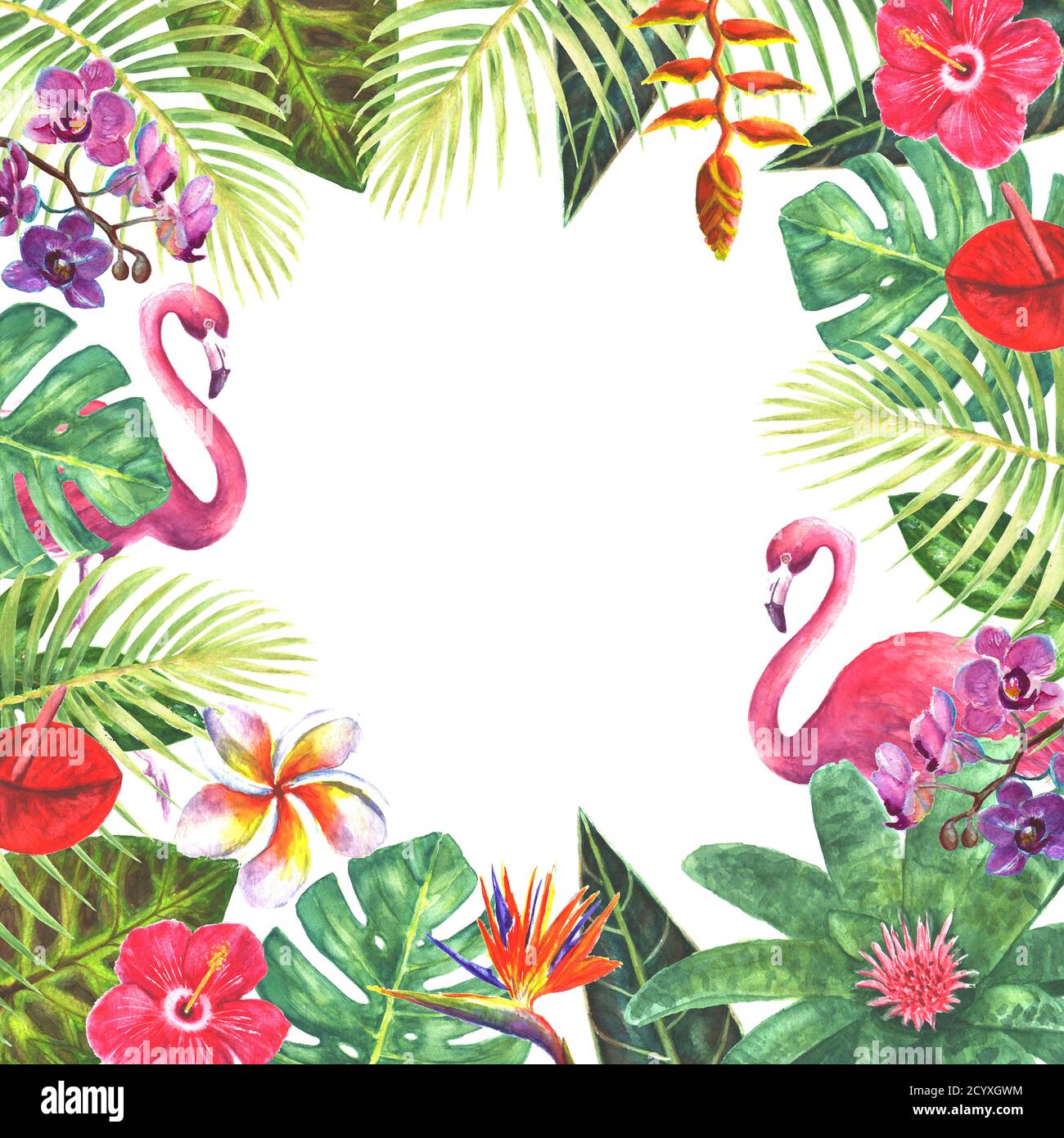 Pink flamingo birds exotic tropical jungle rain forest bright green plants flowers border frame template on white background. Watercolor hand drawn na Stock Photo
