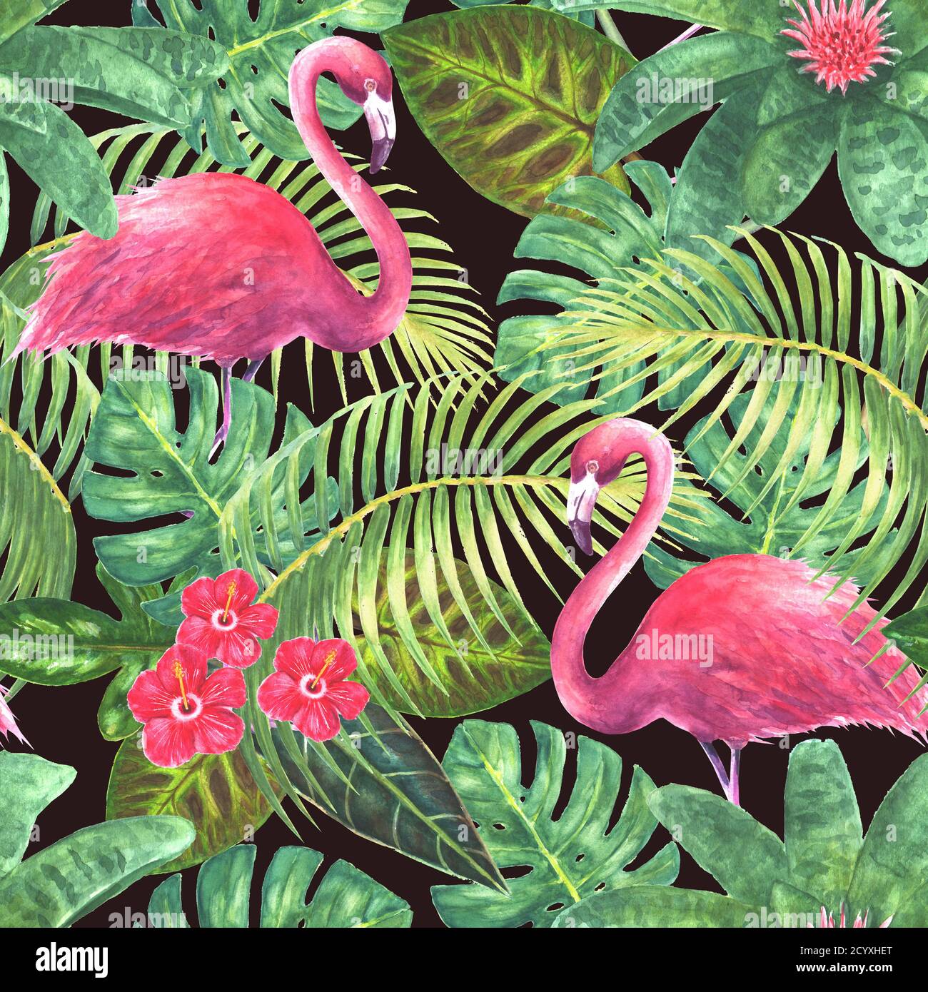 Paradise background. Tropical exotic pink flamingos, green leaves, branches  and bright flowers on dark background. Watercolor hand drawn illustration  Stock Photo - Alamy
