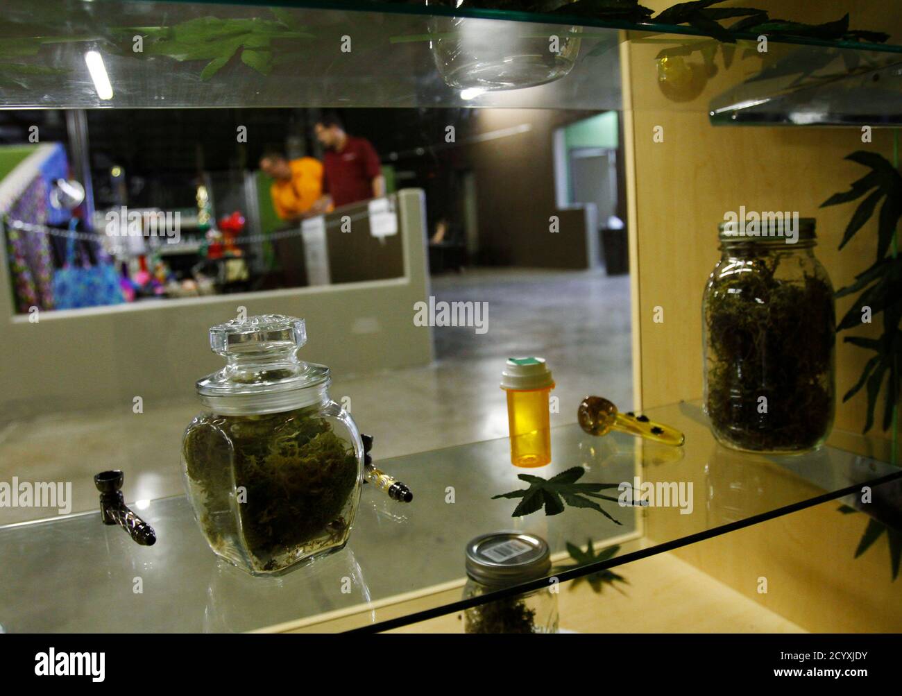 Fake Id Dispensary