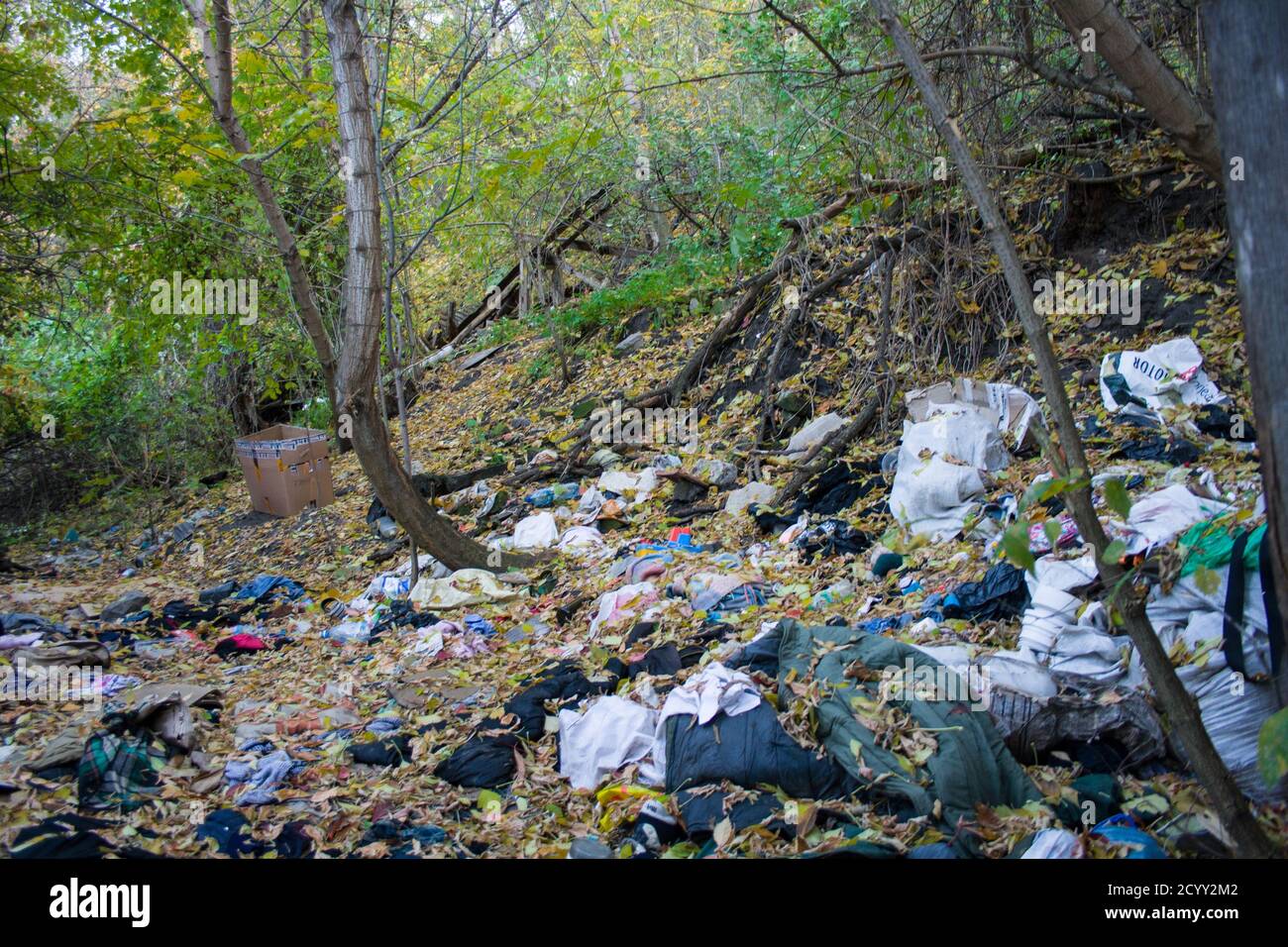 https://c8.alamy.com/comp/2CYY2M2/pile-of-domestic-garbage-on-the-ground-among-green-trees-2CYY2M2.jpg