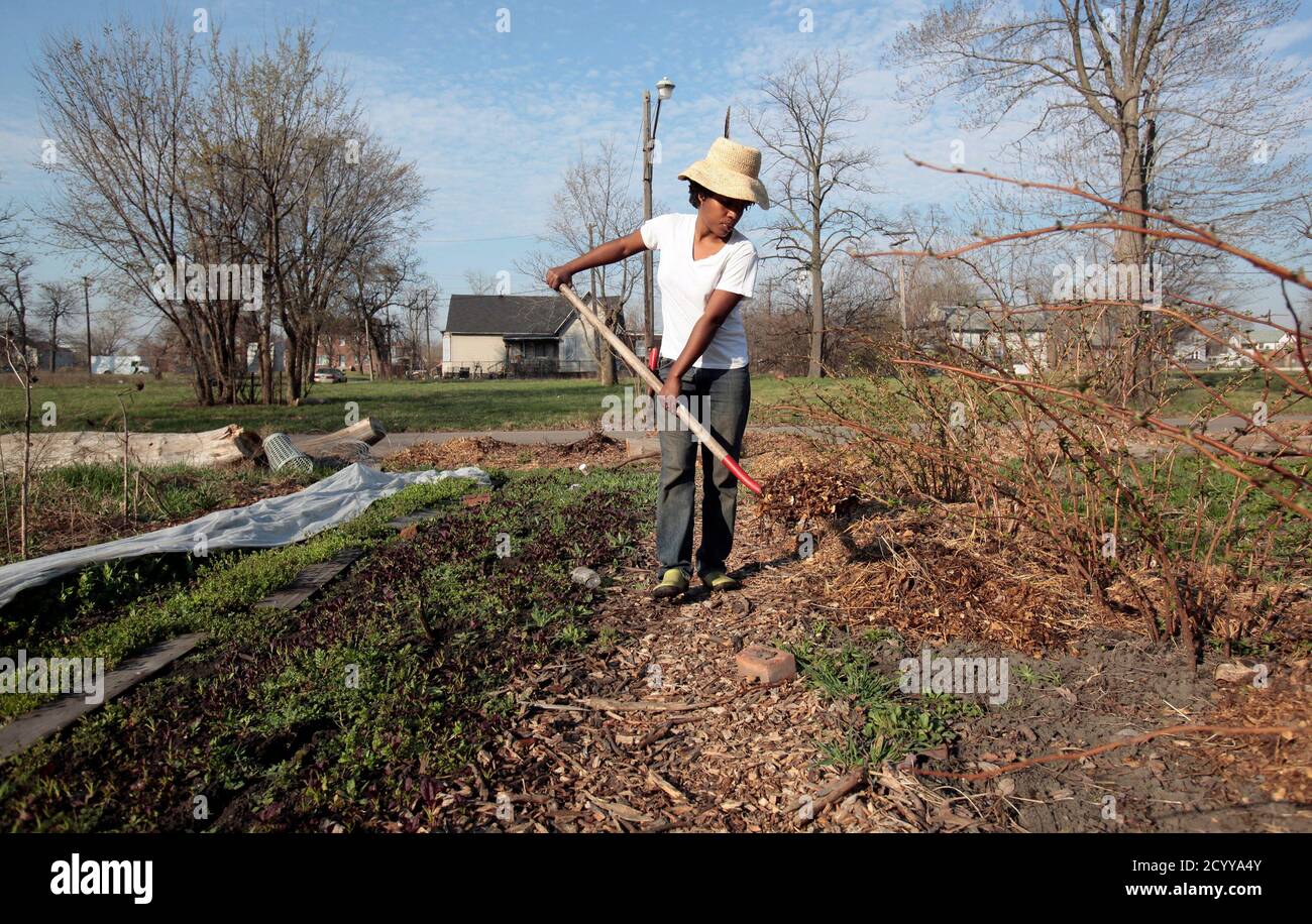 Detroit Farmer High Resolution Stock Photography And Images Alamy