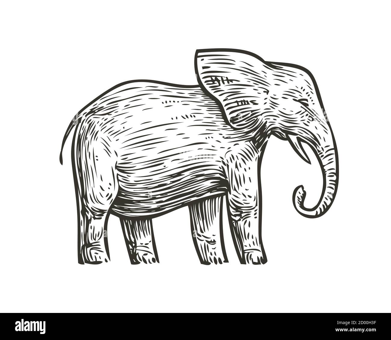 Elephant sketch. Animal hand drawn vintage vector illustration Stock Vector