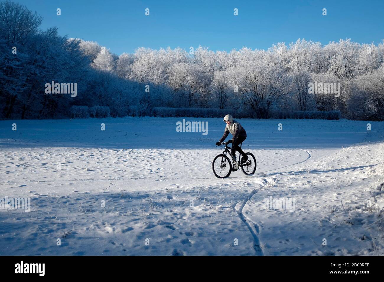 A man rides a bicycle at the city park in Stavropol with the air  temperature around minus 8 degrees Celsius (17.6 degrees Fahrenheit)  REUTERS/Eduard Korniyenko (RUSSIA - Tags: SOCIETY ENVIRONMENT Stock Photo -  Alamy