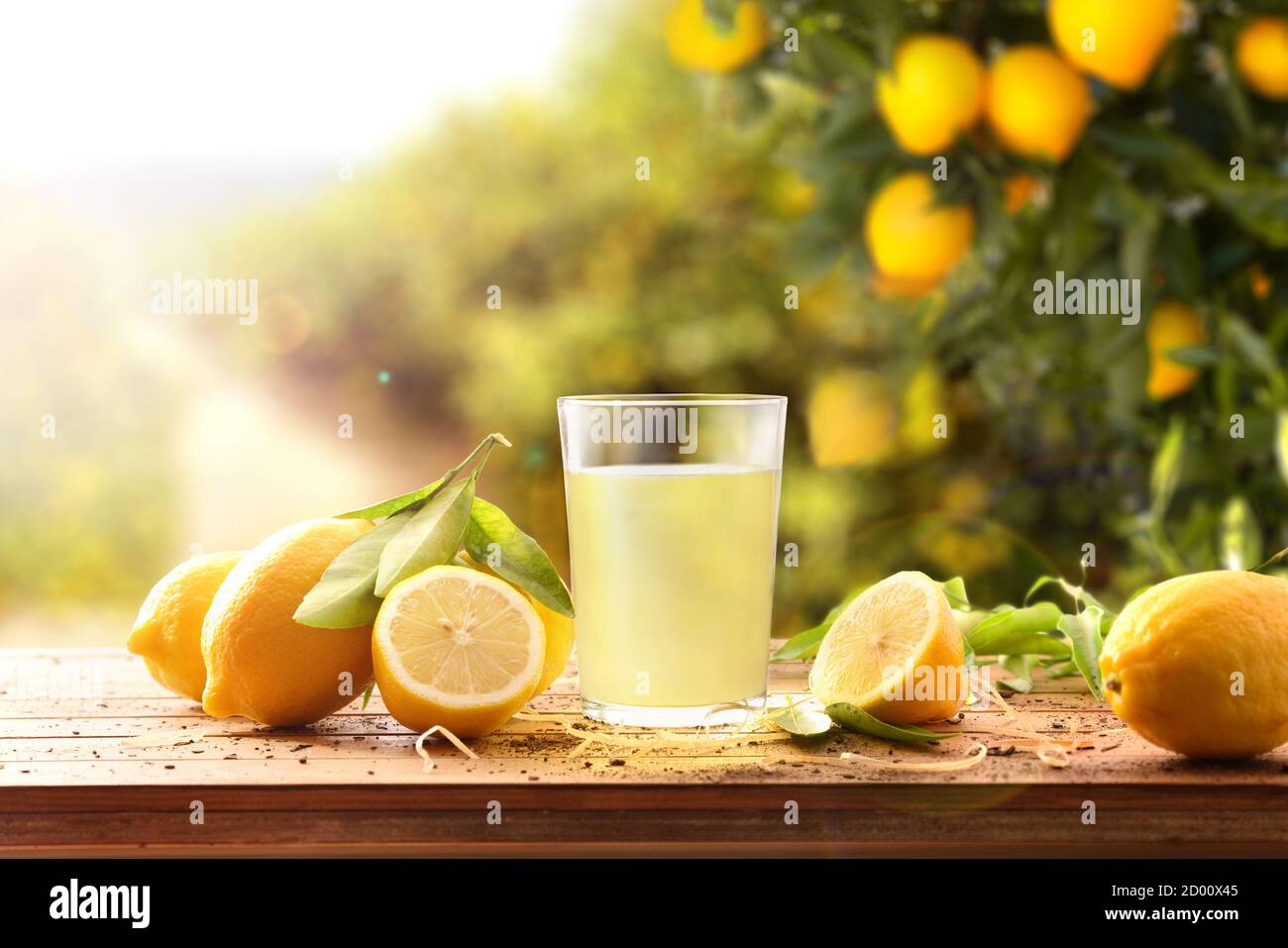Freshly squeezed juice on a wooden table full of lemons with lemon trees in  the background and a ray of sunlight. Front view. Horizontal composition  Stock Photo - Alamy