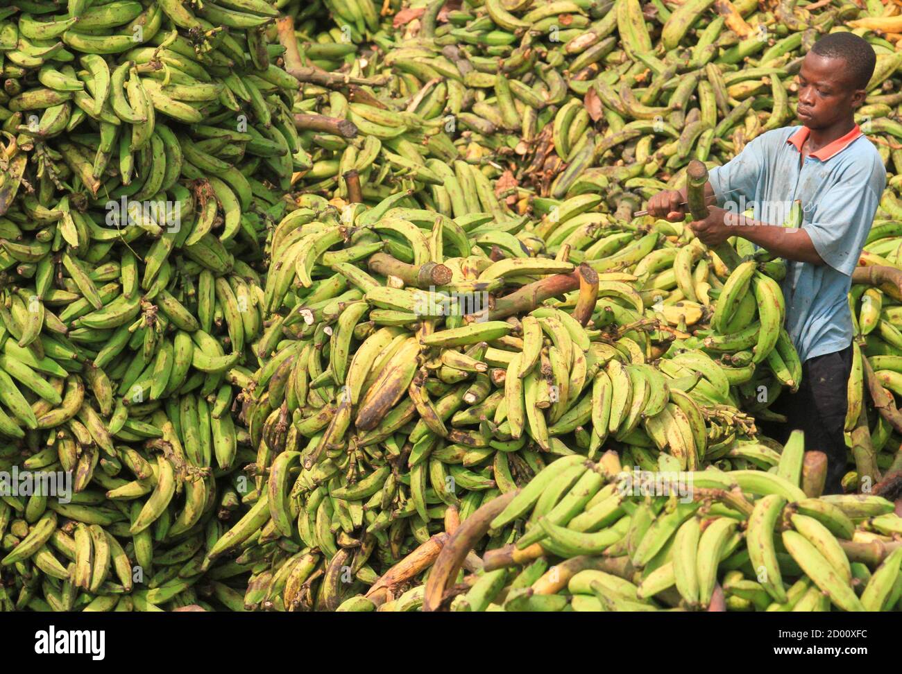 Market in abidjan hires stock photography and images Alamy