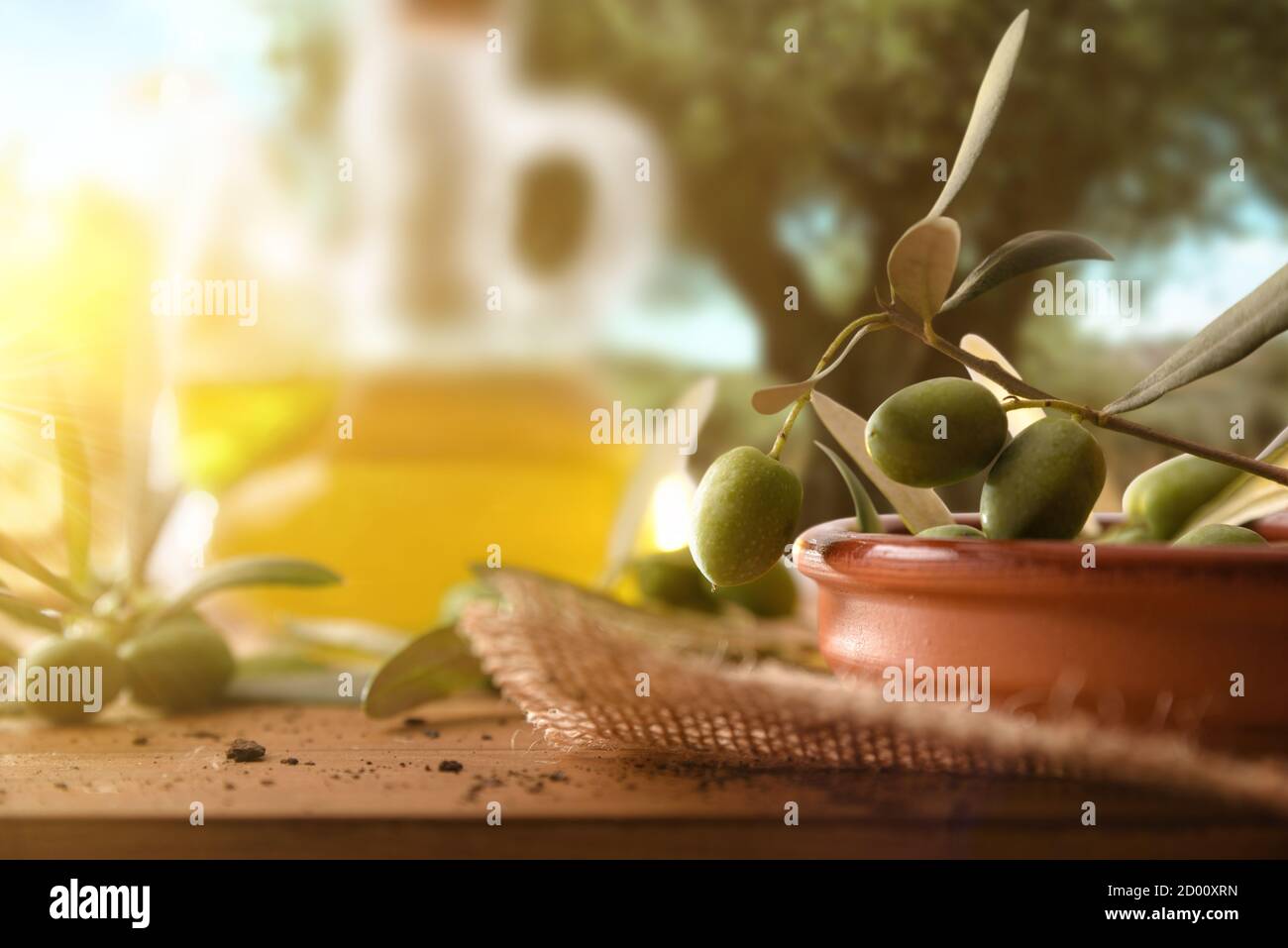 Olives freshly picked in clay container on wooden table in olive grove. Front view. Stock Photo