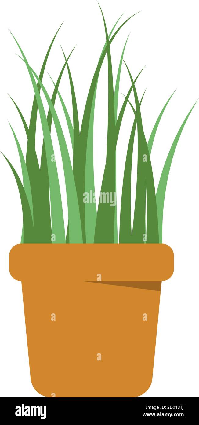 Green plant pot vector isolated illustration Stock Vector Image & Art ...