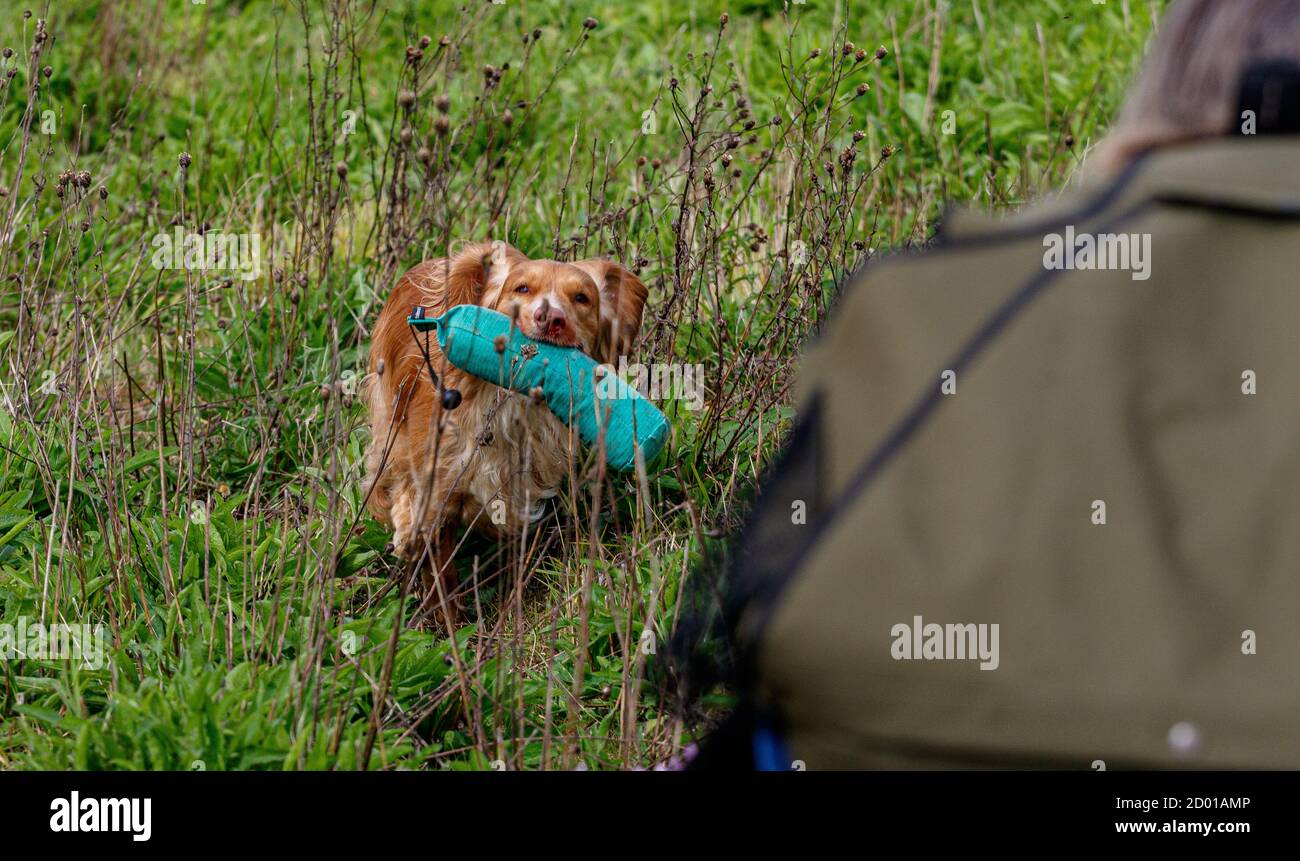 Basc training hires stock photography and images Alamy