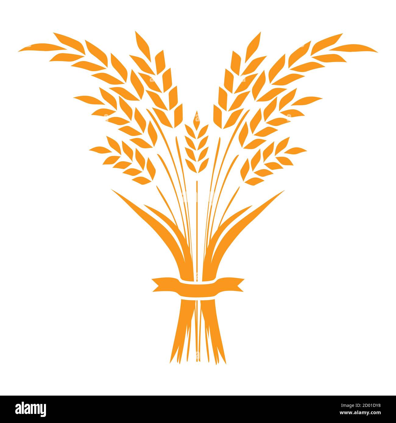 Ears and grains of wheat on a white background. Vector. Stock Vector