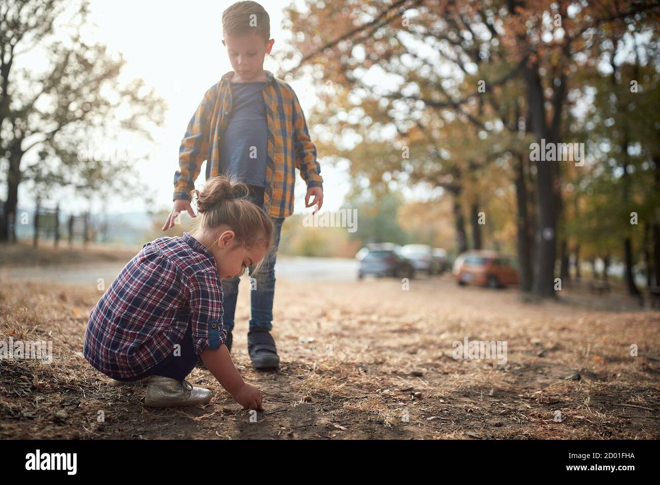 Preschool brother and sister playing in the woods together Stock Photo ...