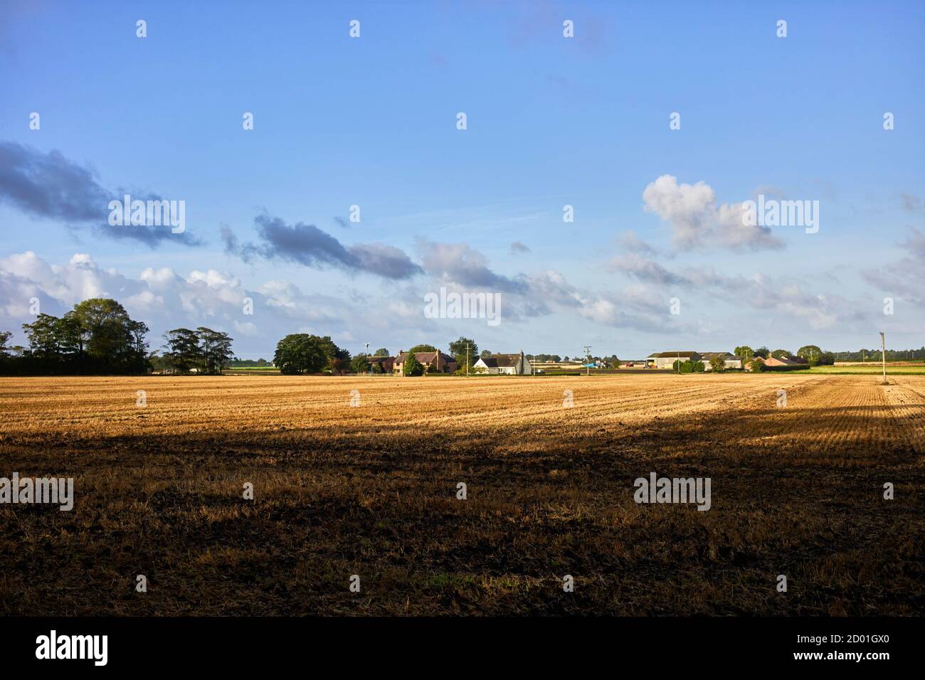 Newly cut arable field on the flatlands at Scarisbrick, Lancashire with dark foreground and large area of clear blue sky Stock Photo