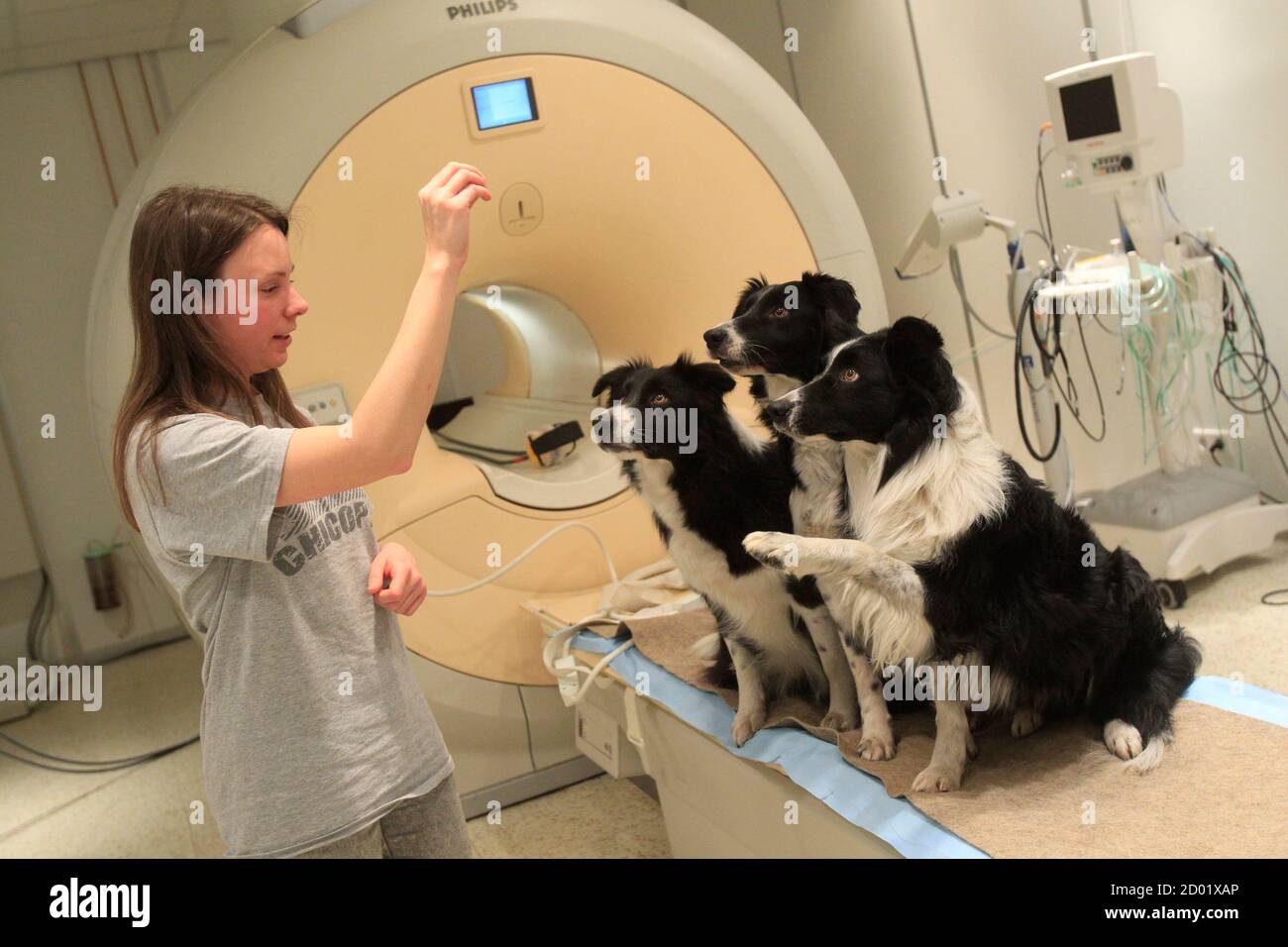 Non animal methods hi-res stock photography and images - Alamy