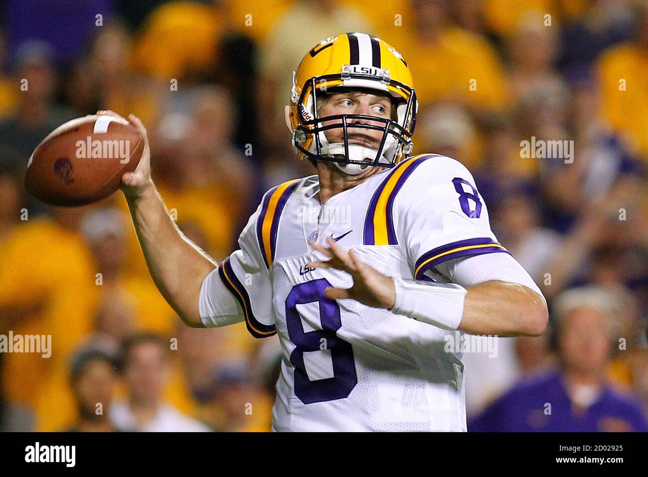 Gamecocks High Resolution Stock Photography and Images Alamy