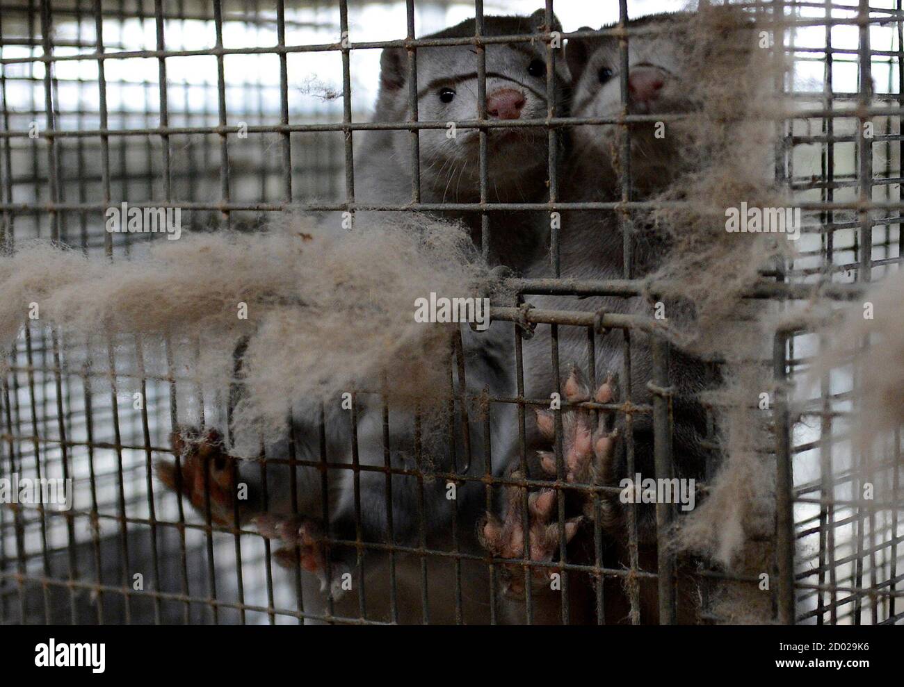 jyllinge high resolution stock photography and images alamy