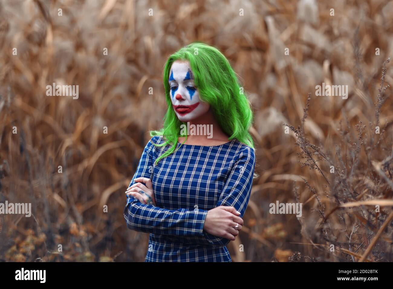 Portrait of a greenhaired girl with joker makeup on a orange leaves reeds background. Stock Photo