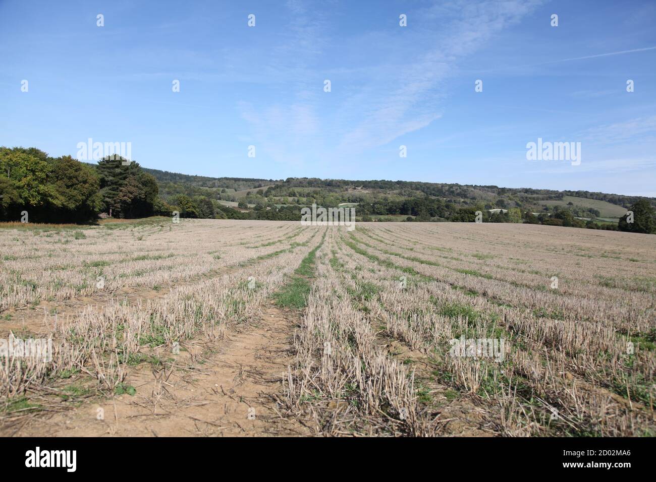 Surrey hills aonb hi-res stock photography and images - Alamy
