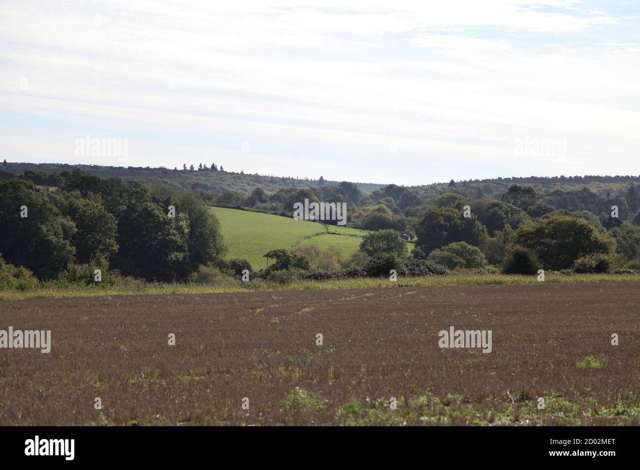 Looking North across the Surrey Hills, AONB, from a freshly cut crop ...