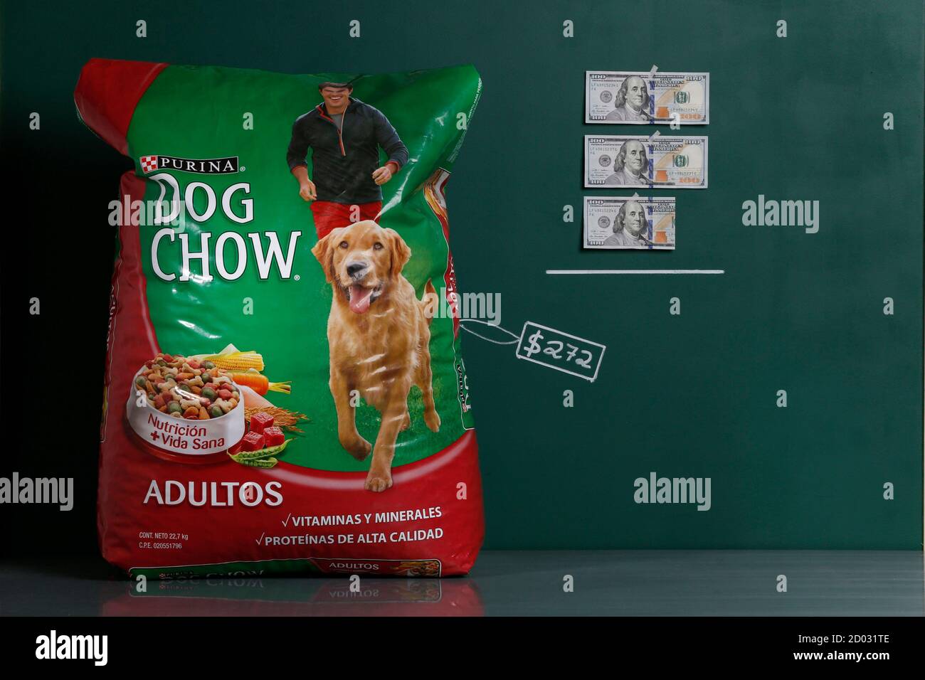 purina dog chow green bag