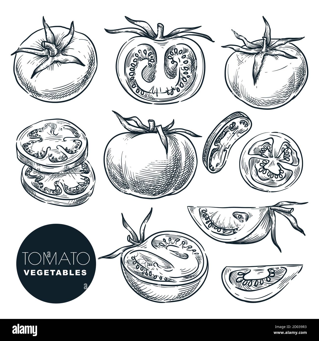 tomato line drawing
