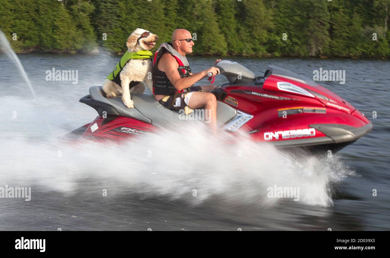 Tom Bennett and his dog Brody, a five-year-old Golden Doodle, ride on a jet  ski on Pigeon Lake near Bobcaygeon, Ontario, July 6, 2012. Known as Goggle  Dog on Pigeon Lake, Tom