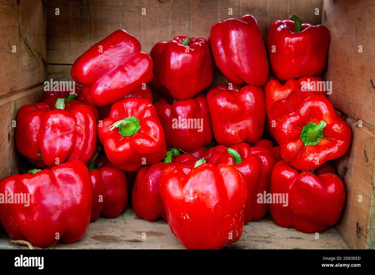 A display of red peppers for sale on a market stall Stock Photo - Alamy